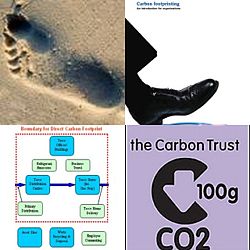 Carbon Footprinting